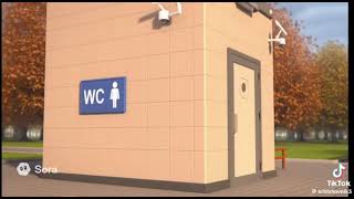 User Description Irl