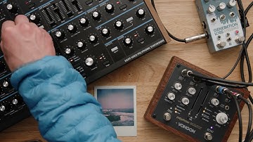 Sound Study: Frippertronics with Novation Peak, Vongon Polyphrase, Chase Bliss Generation Loss Mk2