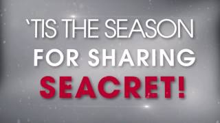 seacret xmas new products, pkgs teaser 2016 30 sec
