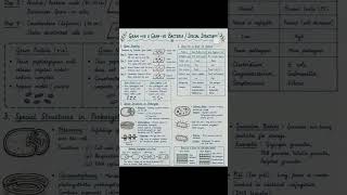 gram positive and Gram negative bacteria #biology #educationalvideo #bio #biologyclass