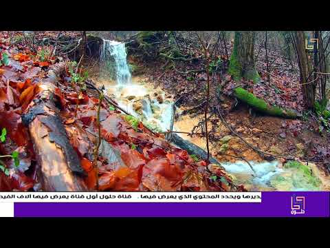 نشيد أنا الداعي بإيماني