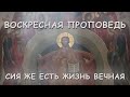 Сия же есть жизнь вечная. Воскресная проповедь.