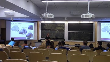 Introduction to Computer Graphics (fall 2019), Lecture 13: Texture mapping