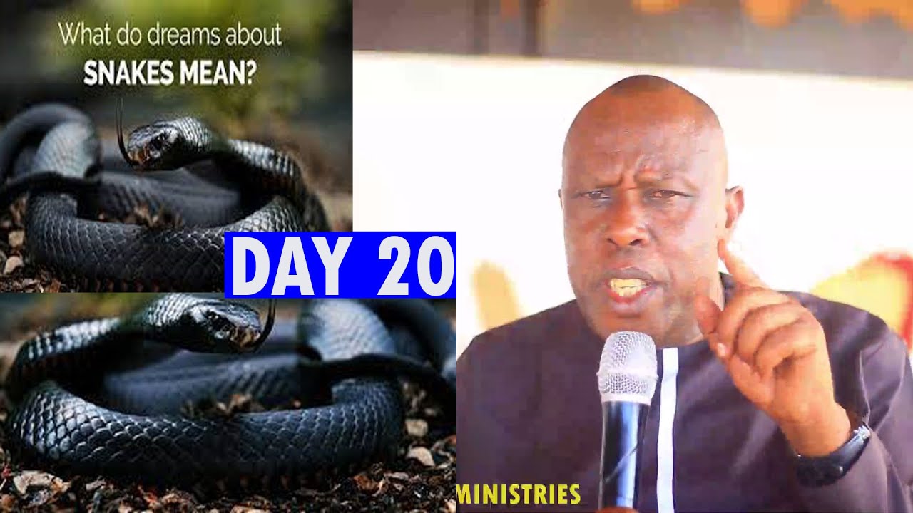 Niba urota Inzoka menyago Hari ibikomeye Ku buzima bwawe n'abawe unva uko wabirokoka  ugatabarwa