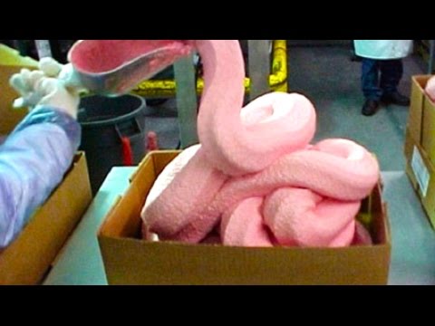 Pink Slime In McDonald's Burgers - YouTube