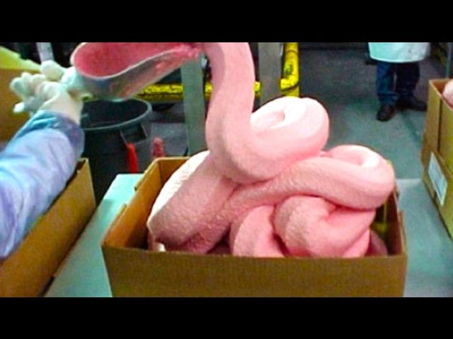 Pink Slime In Mcdonald S Burgers Youtube