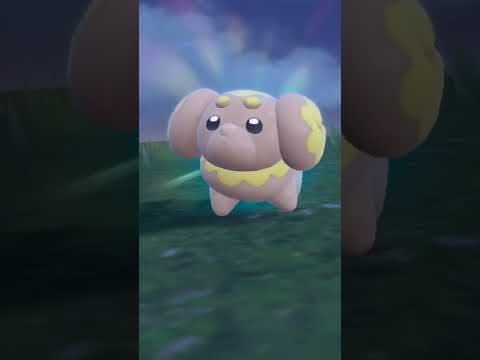 First Shiny from