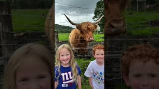 How We Pick the Perfect Family Travel Destinations #familytime #travelwithkids