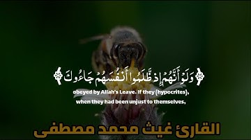 تلاوه هادئه تريح الاعصاب| للمقرئ غيث محمد مصطفى°