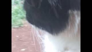 24 De Janeiro De 20221