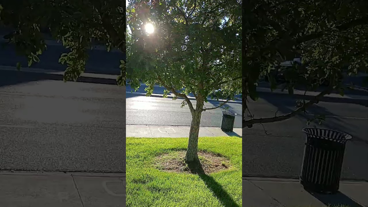 8PM and its sunny! Miracle in Albuquerque. 