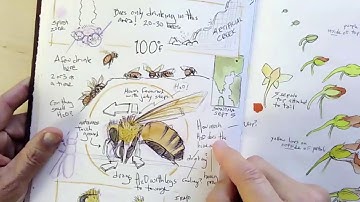 The process of Science (with Inference)