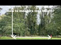 Comment mesurer la hauteur de votre arbre