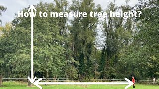 How to measure your tree height screenshot 5