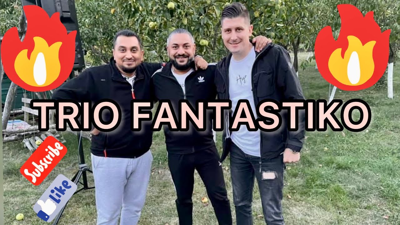 TRIO FANTASTIKO / U RUMUNIJI SPECIJALNO ZA KOLEGE / MILAN DIMIC / BRANKO KTA / MILAN STRASNI