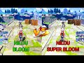 Nilou Bountiful Cores (Super Bloom) Guide and Explained!