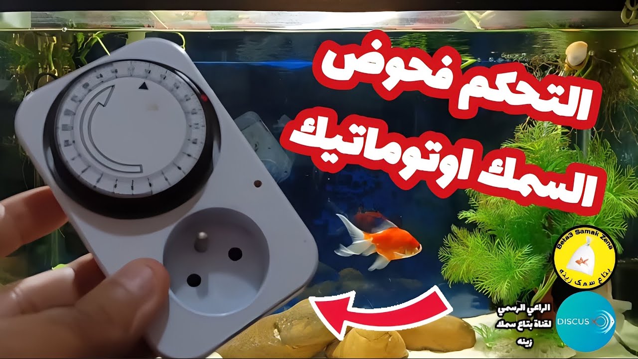 التحكم فحوض السمك اوتوماتيك
