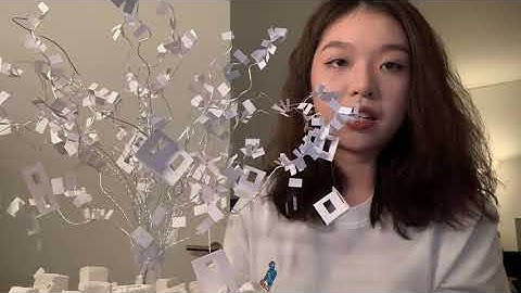 Xi Wang | Short Video About My Remodeling of the Invisible Cities Project