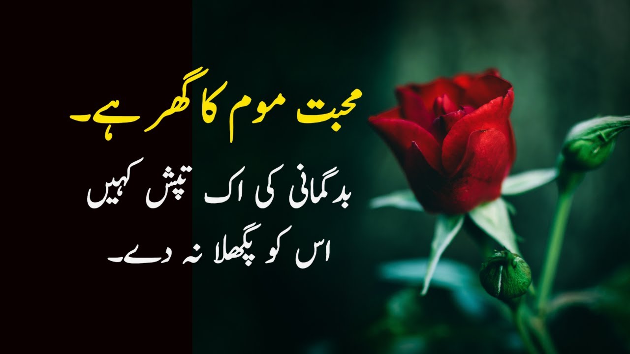 Sachi Mohabbat Best Urdu Quotes About True Love Heart Touching Urdu