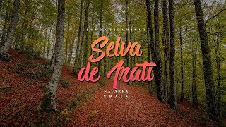 Selva de irati (Navarra) - Slowmotionminute - RX100 IV