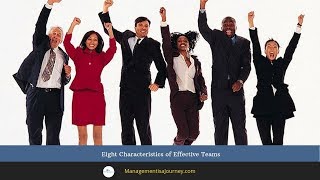 Eight Characteristics of Effective Teams