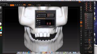 Skull pt5 making the front teeth