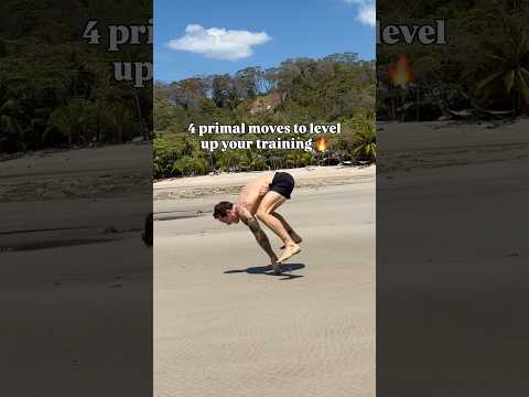 Start Bodyweight Training at Any Level | Beginner to Advanced