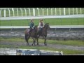 Winners circle club trackwork 21 10 14