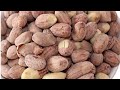 Salted peanuts of gujrat ( bharuch) / gurjat ki bharuch ki  namkeen special mufali ( khari seeng).