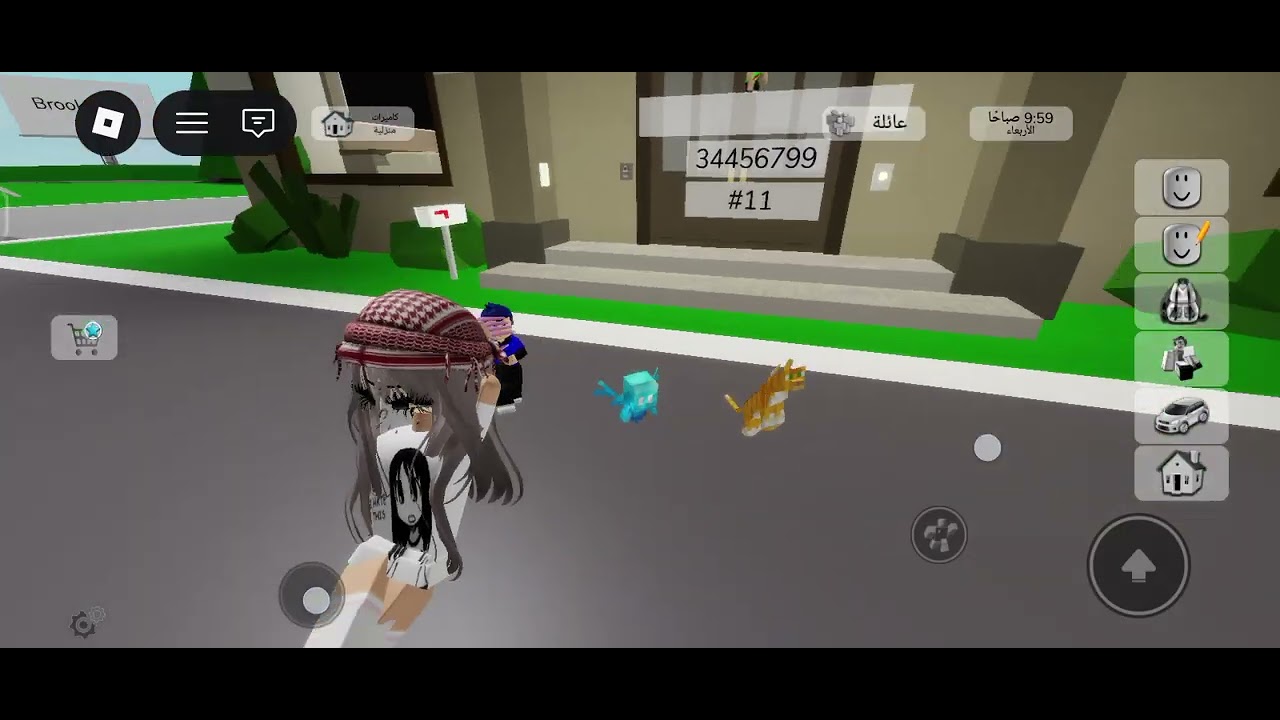 ١٣ شباط ٢٠٢٦