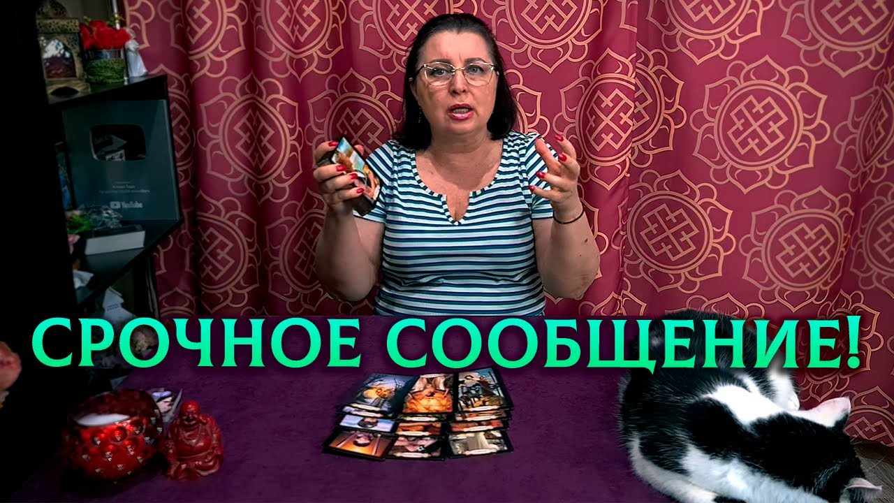 ЕГО ЛОМАЕТ И КОЛБАСИТ! Какое сообщение он хочет срочно отправить вам ...