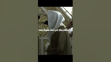 الشيخ عبدالله القرافي - تلاوة من فجر اليوم لما تيسر من سورة المائدة.#عبدالله_القرافي