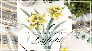 March Daffodil // Birth Month Flower Watercolor Timelapse Daffodil March S Birth Month Flower Watercolor