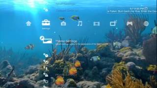Aquarium: Nexus Dynamic Theme