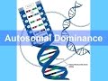 Autosomal Dominant and Recessive Disorders