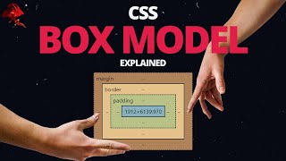 Learn CSS BOX MODEL  With Real World Examples