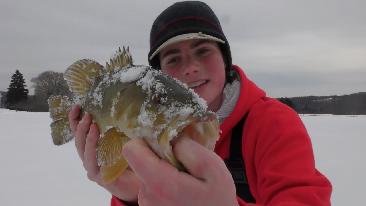 Ice Fishing For SMALLMOUTH BASS! YouTube