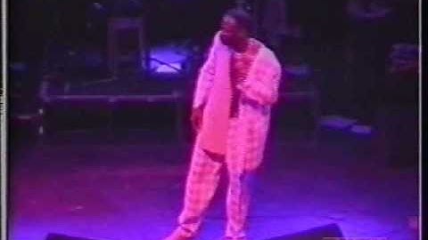 LEROY SIBBLES - PARTY TIME live 1993
