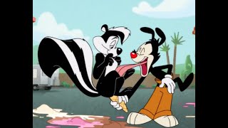 Pepe le pew Appearance in Animaniacs