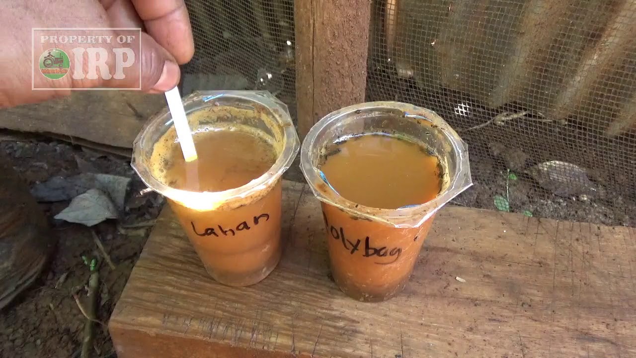 Begini Mengukur pH Tanah dengan kertas Lakmus