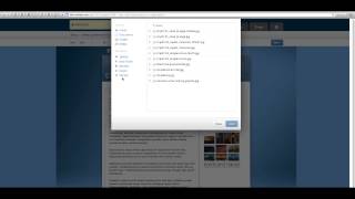 CMS Adding Images
