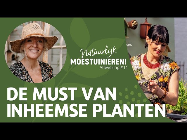 Natuurlijk Moestuinieren podcast afl.11: Inheemse planten & biodiversiteit met Carlijn Krielaars.