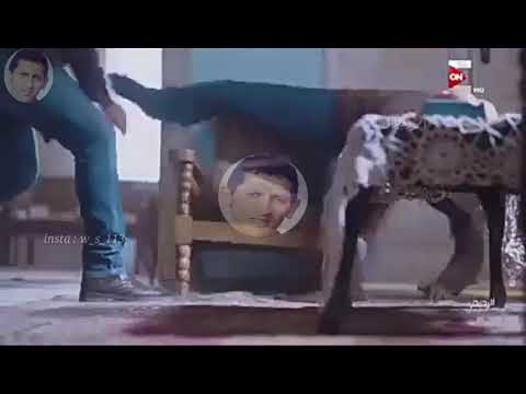 مهرجان قلبي مقويه اجمد حالات واتس حمو بيكا