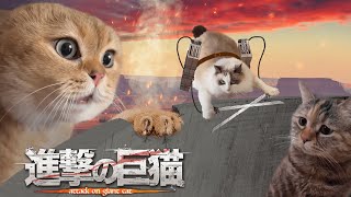 【猫ミーム】進撃の巨猫　第1話　Attack on Cat ep.1