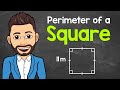 Perimeter of Squares and Properties