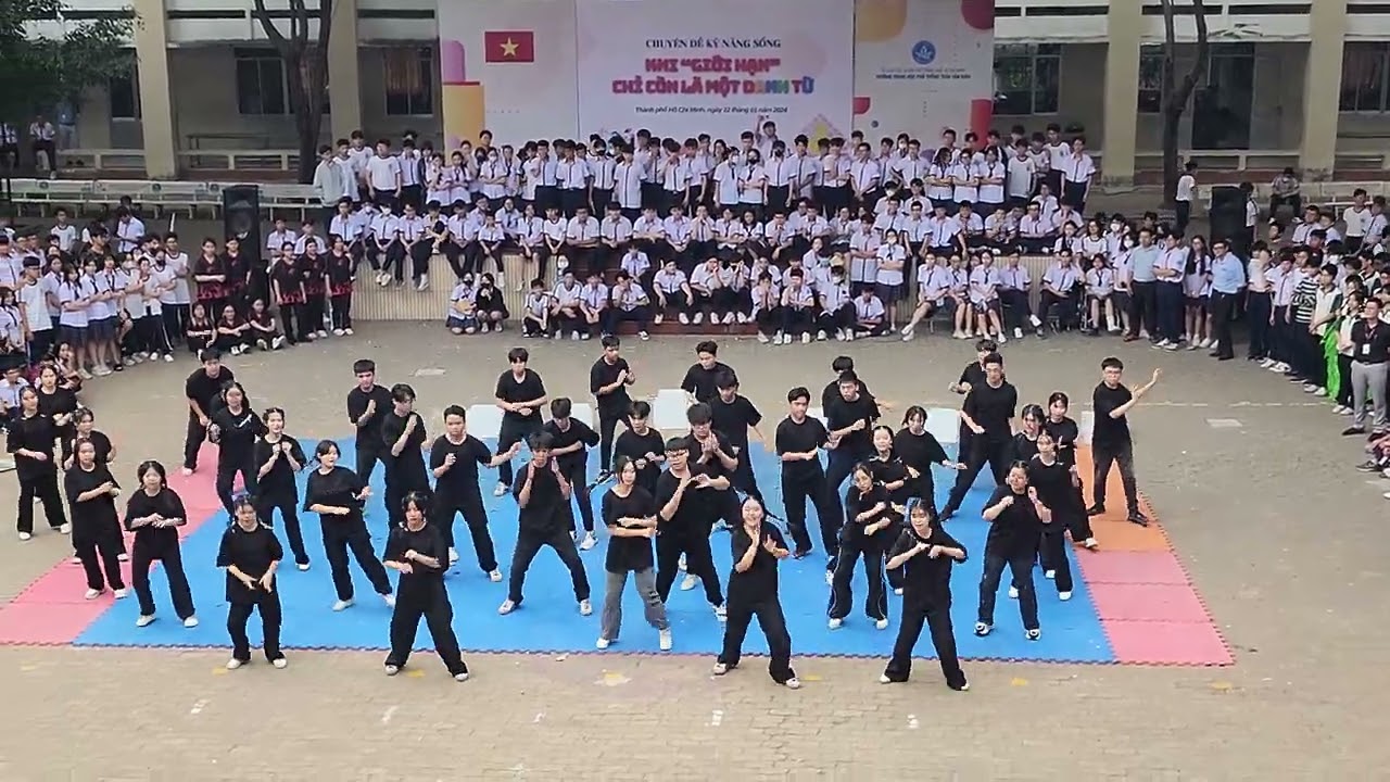 Fashmod 11A3-TVG-2023-2024