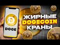 ЖИРНЫЕ DOGECOIN КРАНЫ 2022 / КАК ЗАРАБОТАТЬ DOGECOIN С ТЕЛЕФОНА БЕЗ ВЛОЖЕНИЙ?