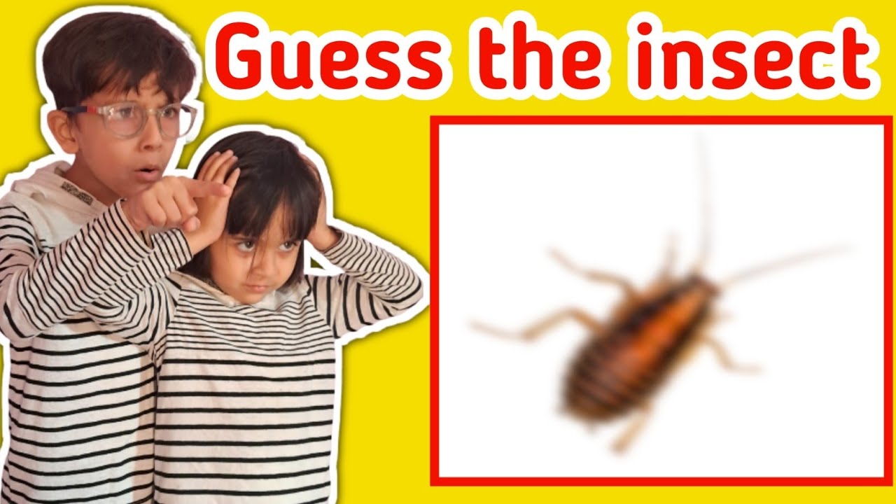 Insect Names 🐝 सीखो | Noor and Hassan के साथ | Insect Names with Pictures