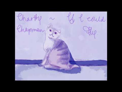 Charity Chapman - If I Could Fly