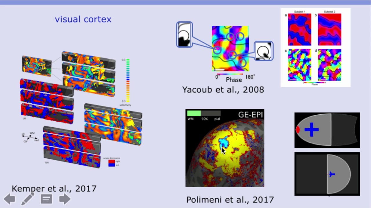 Renzo Huber: fMRI methods and applications at high field and high resolution